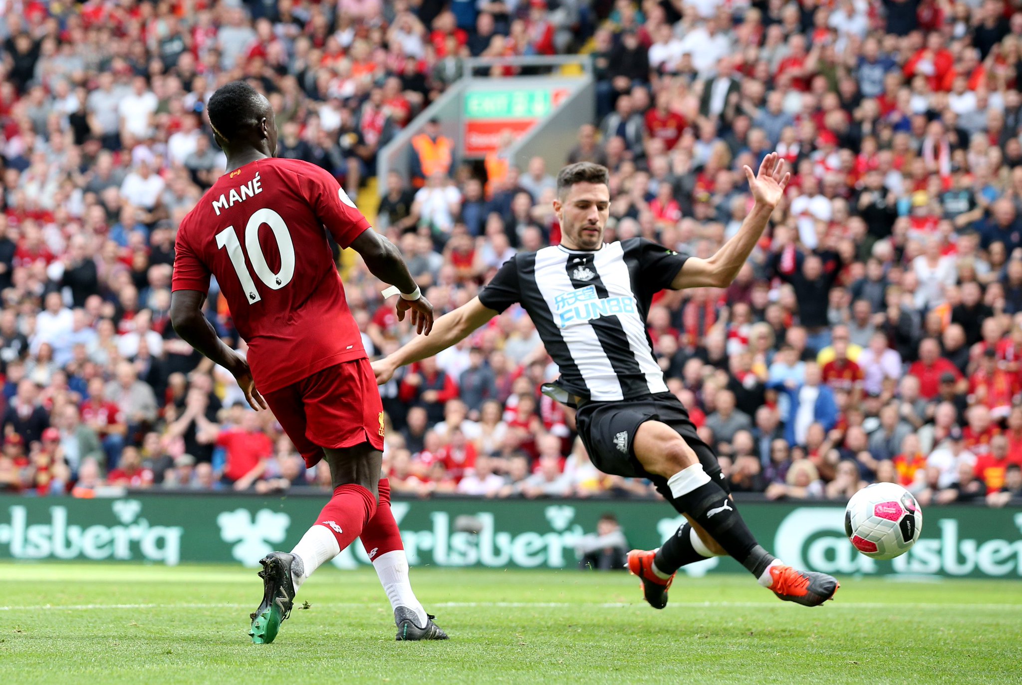 费者进行有 费者进行有